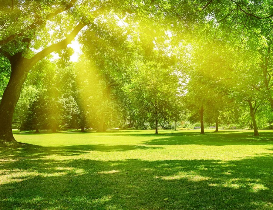 SustainabilityImage